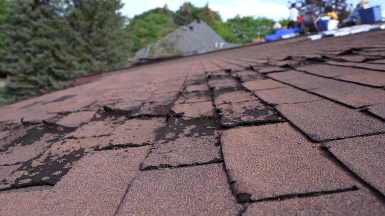 Best Roof Insulation Installation  in Tega Cay, SC