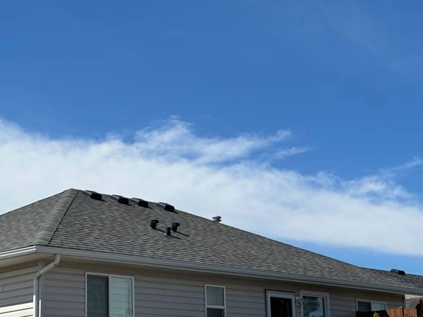 Best Skylight Installation and Repair  in Tega Cay, SC